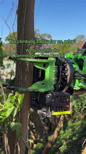 Sennebogen Tree Handler: Revolutionizing Tree Work