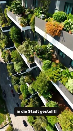 The Forest Growing Into the Sky (Italy)