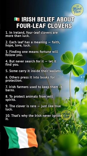🍀 Irish Belief: The Power of Four-Leaf Clovers #curiosity #luck