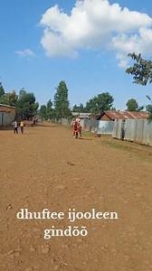 Laal Tumaa Nuugii😍 | Abdiisaa Tokkummaa