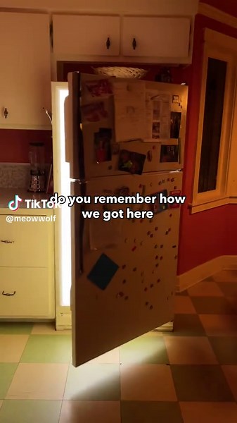 Exploring the Mysterious Portal at Meow Wolf