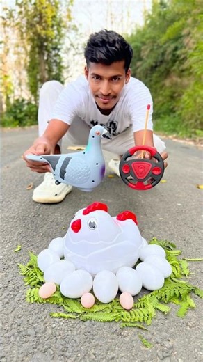 2 Remote Control Kabootar Vs Rc Egg Wla Chicken 🐔🥚