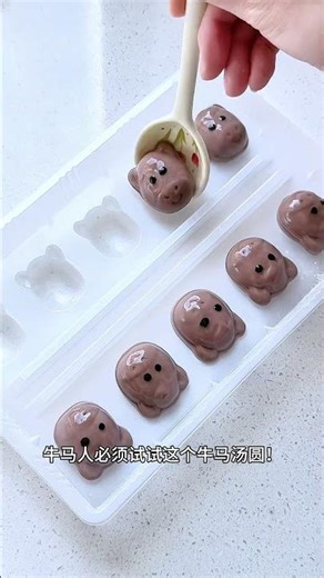 Exploding Frozen Tangyuan: The Ultimate Classic Treat! Tangyuan FrozenDelight