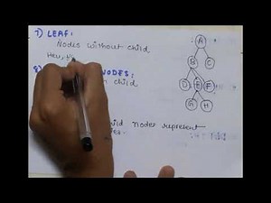 TREE TERMINOLOGY | DATA STRUCTURE