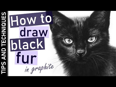 How to draw black fur in graphite | Drawing a black cat | Tips & Tools