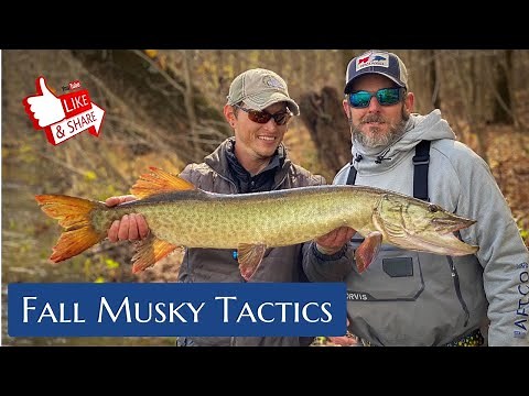 Sharing My Secrets With First Time Musky Hunters - Blue Ridge Musky Guided Trip