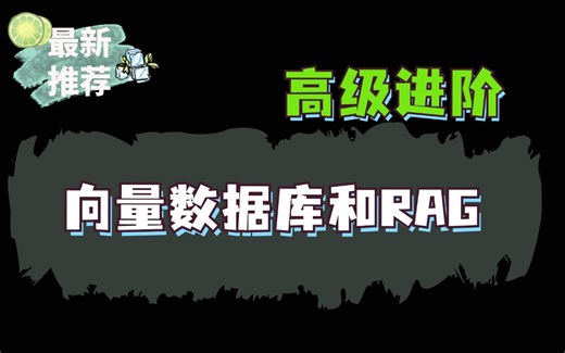 翻遍整个B站，这绝对是2025讲的最好的向量数据库和RAG高级进阶教程