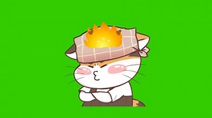 Cat Coffee Shop Animation On Green Stock Footage Video (100% Royalty-free) 3472573613 | Shutterstock