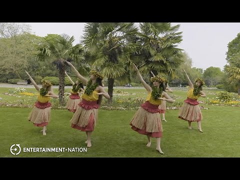 Expert Dance - Traditional Hawaiian Hula Dancers - Entertainment Nation