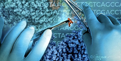 Precision Genome Editing Enters the Modern Era | HHMI