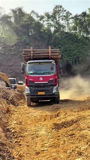 Crazy log hauler truck!