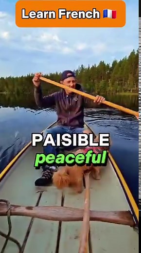 59K views · 1.8K reactions | When to use the "Passé composé" or the...