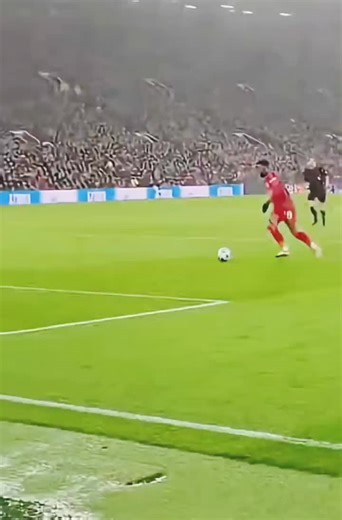 Cat Saves the Day During Football Match