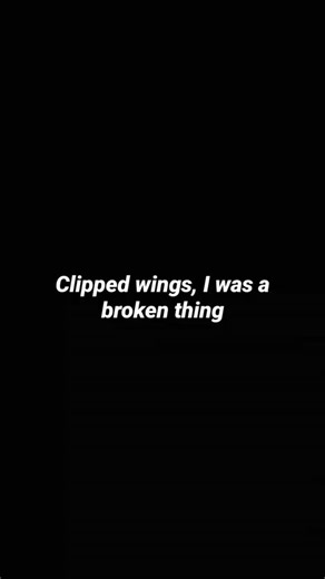 lyrics Global on Instagram: "Bird set free by Sia #lyrics #viralreels #instagramreels"
