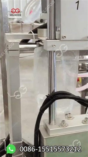 Mango Juicing and Packaging Machine