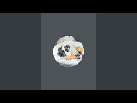 Virtual reality crs está en vivo