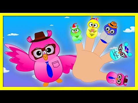 Finger Family Owl Nursery Rhyme and Kids Songs For Toddler's