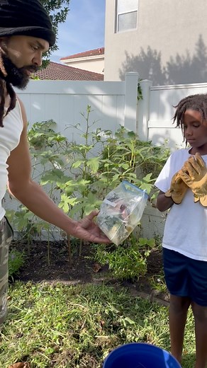 34K views · 1.3K reactions | Natural compost tea fertilizer lesson… Our son’s new children’s book “The World Changing Farm” is COMING SOON PrayersBlessings #garden | Jabez Invests | Facebook