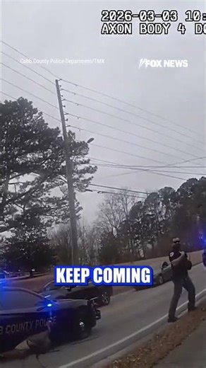 POULTRY PURSUIT: Officers in Georgia respond to a 'plucky' situation