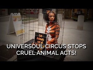 UniverSoul Circus STOPS Cruel Animal Acts!