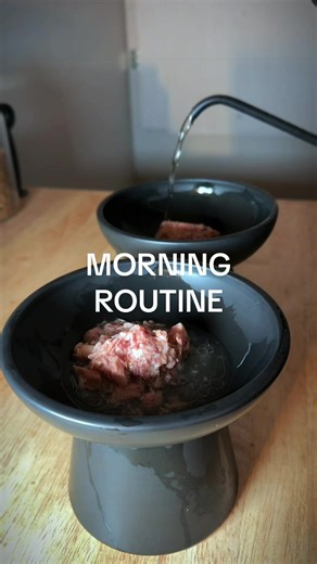 Why My Morning Routine Didn't Last Long: A Mom's Reality