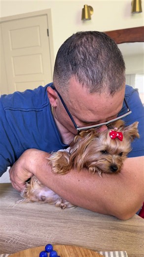 Yorkshire Terrier: Meet Ruby and Perla