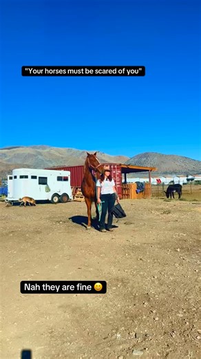 Popeye loves the this lifestyle. Desensitizing is so important #horse #horses | Genesis Ericson Jones