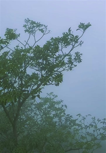 original sound - Carlo Dorico ပါဝင်သည့် Ryan (@ryan.linx) ၏ ဗီဒီယိုများ