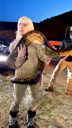 😨❌ billie eilish hates green screens
