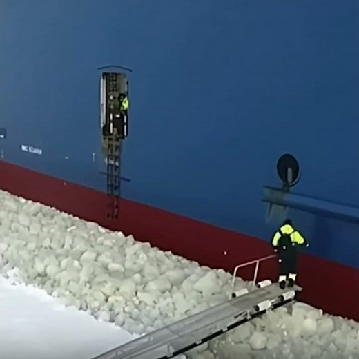 How to board a moving ship with a rope ladder #cargoships #embarkation #ropeladder