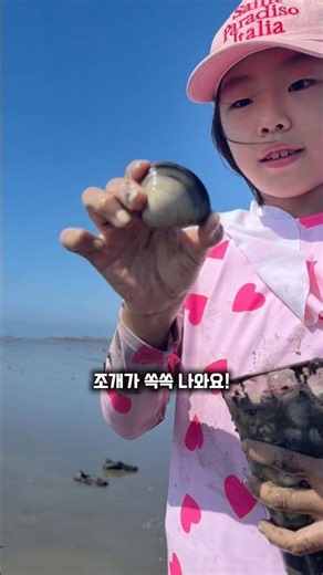 장비 없이 조개 잡는 방법?갯벌을 밟기만 했는데 조개가 올라와요😘 이번 주말 아이들과 꼭 가봐야 할 갯벌 체험 #갯벌체험 #조개잡이 #해루질