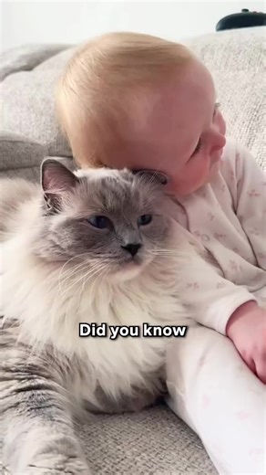 Effortless Hair Removal & Pet Fur Benefits for Kids