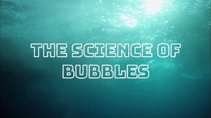Curiosity is like bubbles... it's waiting to be popped! https://curiosity.tv/d3455np | Curiosity Stream