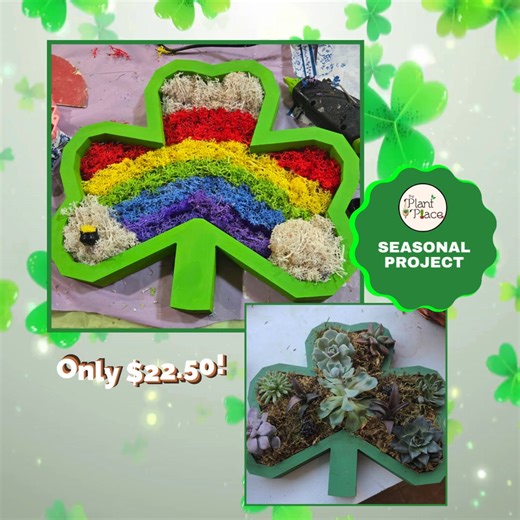 Get lucky with our St. Patrick’s Clover Seasonal Project 🍀 Create your own Clover Moss Art or design a Mini Clover Succulent Garden—perfect for spring decorating or gifting! On sale for just $22.50 🌐 PlantPlaceUSA.com 📞 (732) 391-3054 📍 263 Hwy 36 E, Middletown, NJ 07748 #makeyourown #crafts #thingstodo #thingstodonj #ThingsToDoWithKids #thingstodonearme #stpatricksday #CloverCraft #succulentgarden #mossart #DIY #crafts #ThePlantPlaceUSA #njevents #diyworkshop | The Plant Place