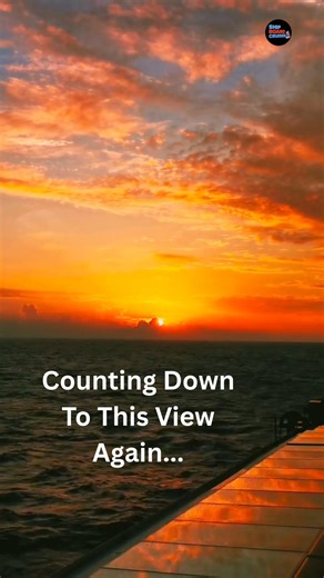 #cruiseship | Ship Board Cruiser