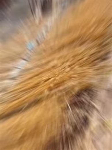 Building Materials: Exploring Alternatives to Concrete