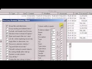 Adjusting column layout and re-ordering columns in X-Ways Forensics