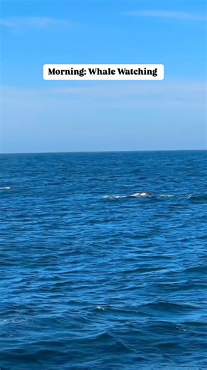 6.1K views · 159 reactions | How to spend the perfect day in Monterey...