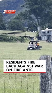 162K views · 812 reactions | Australia's war against fire ants is heating up in more ways than one.  FULL STORY on #9ACA | A Current Affair | Facebook