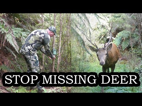 Trail Camera Secrets - How Hunters Actually Pattern Deer All Year Round