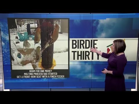 BIRDIE THIRTY: "Room for One More?" - EWN at 6:30am on 3-7-2026