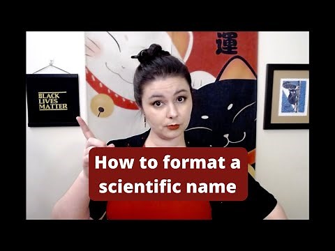 How to format scientific names