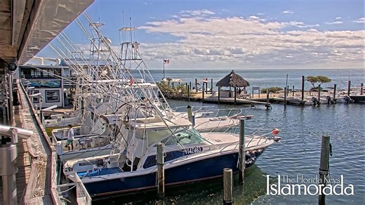 Florida Keys Live Marina Cam from Islamorada Charter Boats Live WebCam Islamorada | Live Webcam