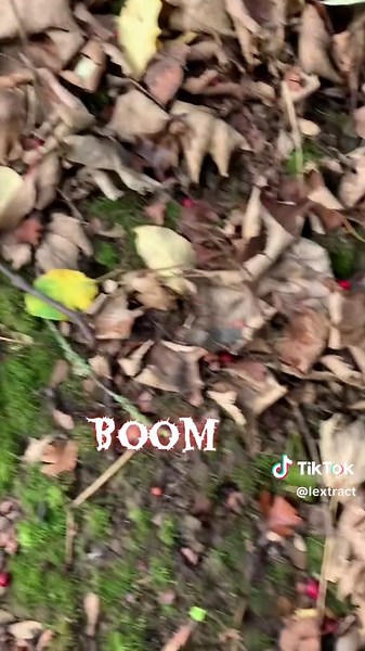 Farm Life Adventures: Cooking and Fun