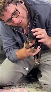 Weight checks! ❤️🐾 #cavapoo #cavapoopuppy