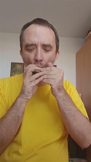 Diandl, wenn‘s di freut (Tiroler Lieder) for Melody Star Harmonica #solotuningharmonica #melodystar