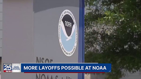 Hundreds of weather forecasters fired in latest wave of DOGE cuts