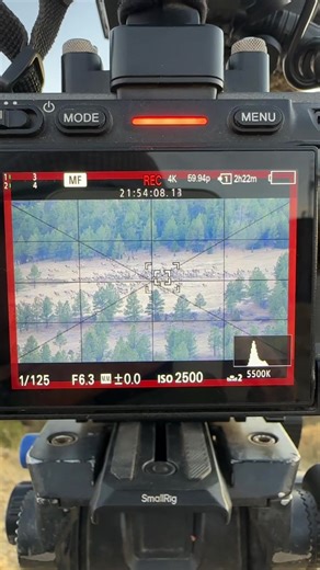 Exploring the Abundance of Elk in the Hills