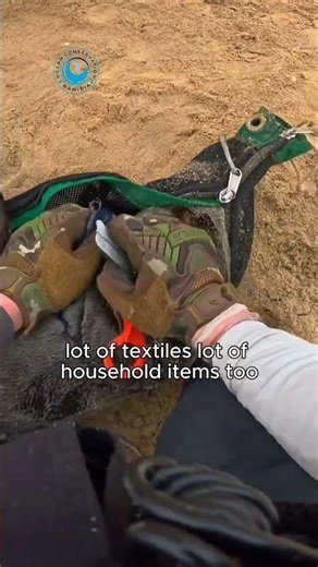 Seals Don't Need Hats #shorts