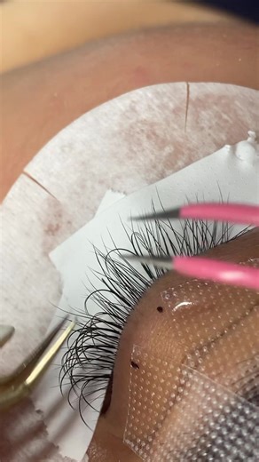Korean YY set 😍🥰 | MAXLashRoom
